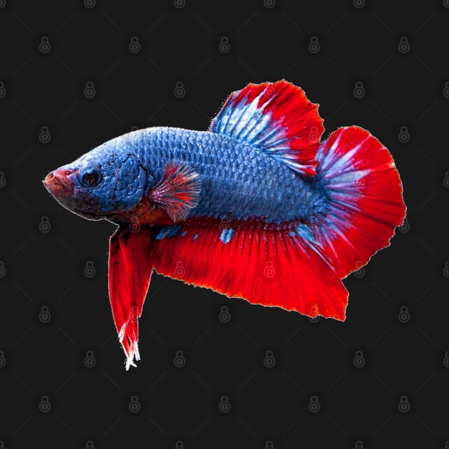 Betta Plakat by NerdsbyLeo