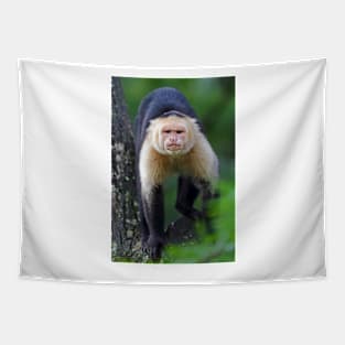 Capuchin monkey - Costa Rica Tapestry