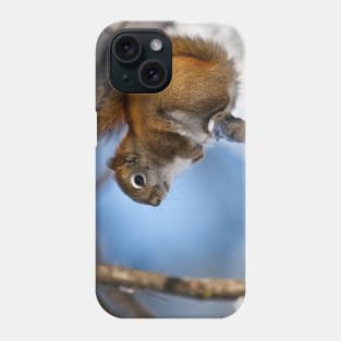 Red Squirrel Phone Case