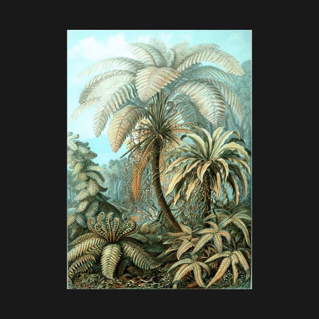 Botanical, vintage, ferns, palm trees, rainforest by SouthPrints