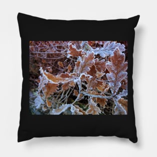 Oak leaves in frost Pillow