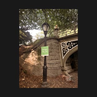 Central Park Street Lamp Bridge Manhattan NYC T-Shirt