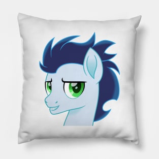 Soarin portrait Pillow