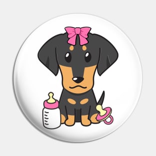 Cute dahshund is a baby - girl Pin