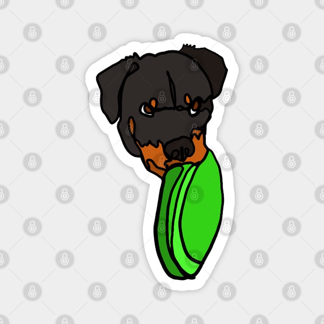 Rottweiler Magnet by ApolloOfTheStars