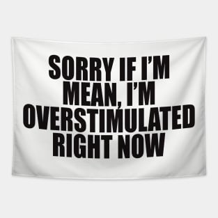 Sorry If I’m Mean, I’m Overstimulated Right Now Shirt, Y2k Aesthitic Shirtr, Self Care, Self Love Shirt, Mental Health Gifts Tapestry
