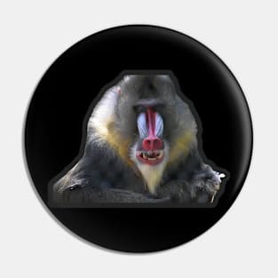 Mandrill Pin