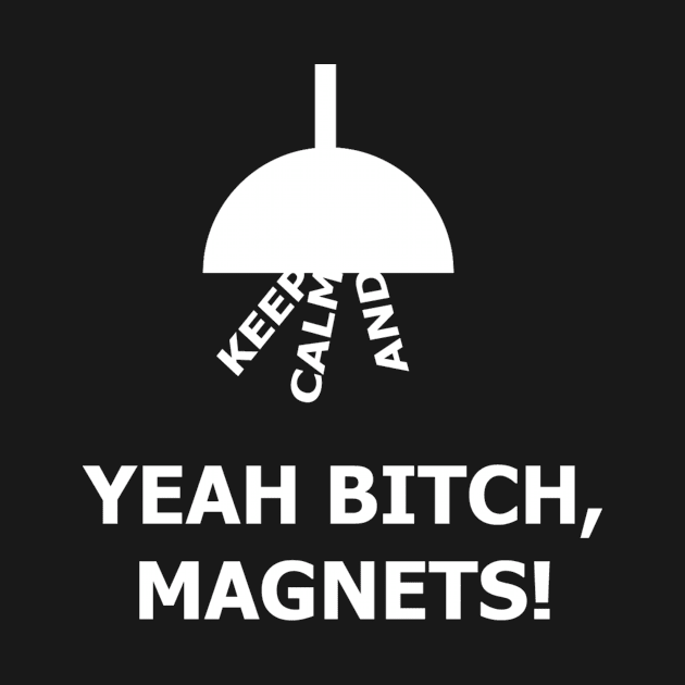 Keep Calm And - Yeah Bitch, Magnets! by tjb4077