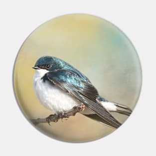 Tree Swallow on Branch 02 Pin