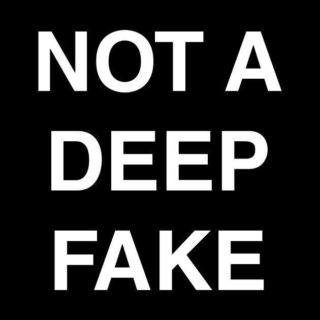 NOT A DEEP FAKE by Bobtees