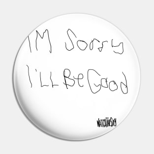 I'm sorry Pin
