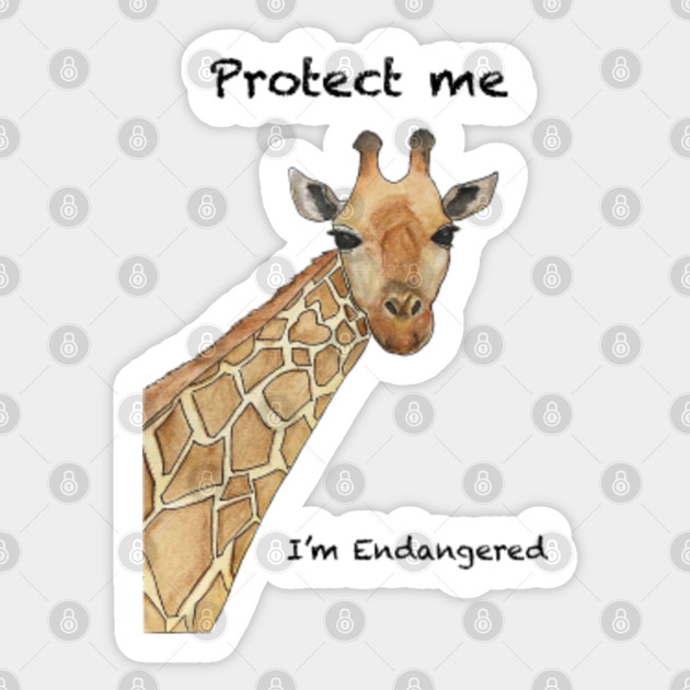 Giraffe Watercolour I M Endangered Giraffe Sticker Teepublic