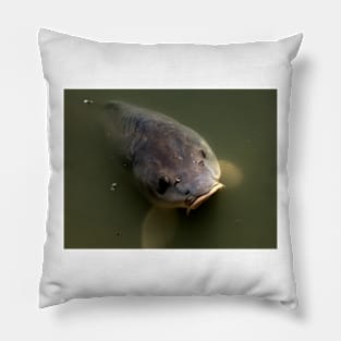 Fly Fishing Pillow