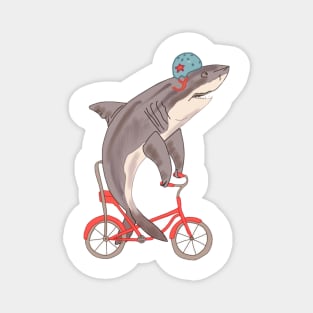 Bicycle Shark Magnet