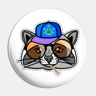 Boy raccoon in a cap and sunglasses Pin