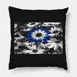 Blue Senetti Pillow