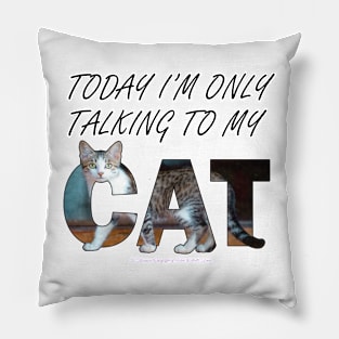 Today I'm only talking to my cat - gray and white tabby cat oil painting word art Pillow