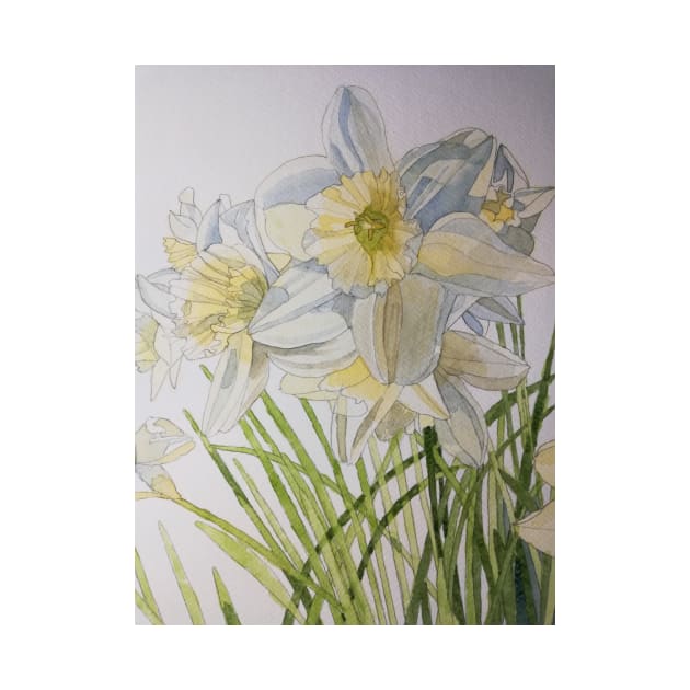 Pale daffodils watercolor painting by esvb