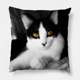 Stunning tuxedo cat with yellow eyes Pillow