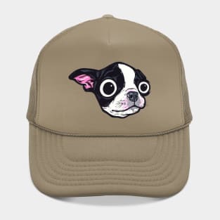 Boston Terrier Pup Hat
