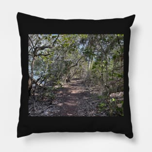 Hiking Florida at Robinson Preserve Pillow