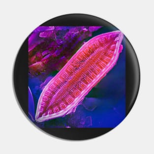 Surirella in SEM (Pink) Pin