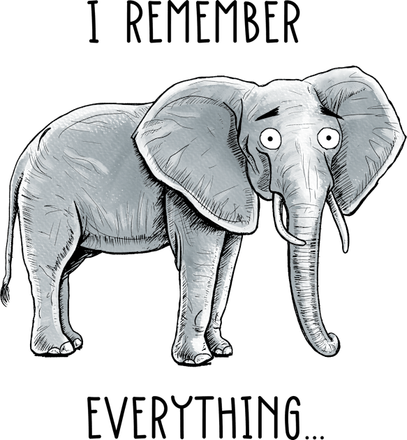 I Remember Everything... Kids T-Shirt by aparttimeturtle