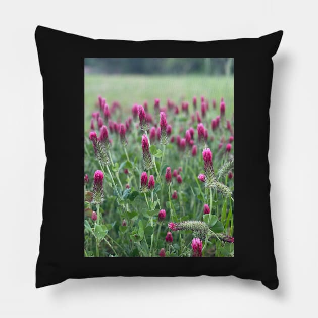 Wildflowers Pillow by Ckauzmann