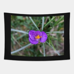 Purple and Orange Flower 1 Tapestry