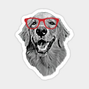 Golden Retriever Smiling Smart Nerd Red Glasses Magnet