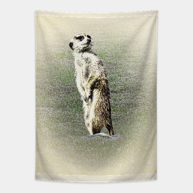 Meerkat Tapestry by Guardi