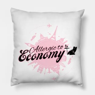 Allergic to Economy Travel Pillow