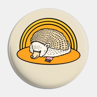 Cute porcupine Pin