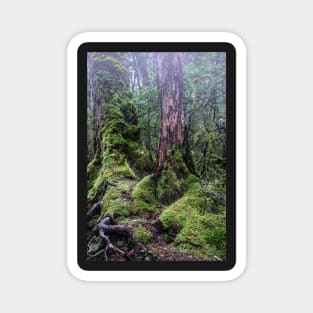 Enchanted Forest 3 Magnet