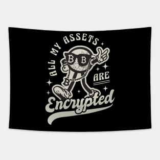 All my Assets are Encrypted Funny Crypto Tapestry