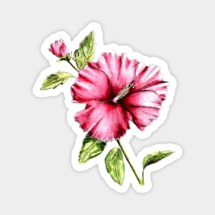 Hibiscus Flower Watercolor Painting Magnet