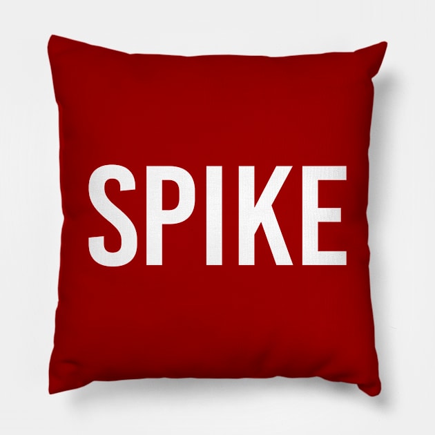 Spike Pillow by StickSicky