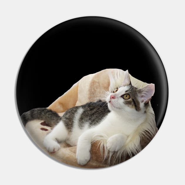 Cushion Kitty Pin by TonSlice