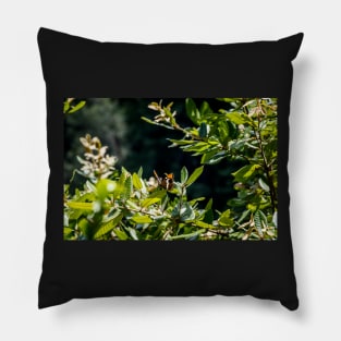 Summer butterfly on foliage Pillow