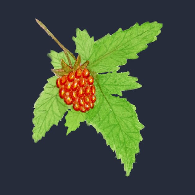 Watercolor Salmonberry Fruit by paintedpansy