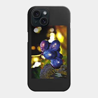 New year's Eve in the Garden Phone Case