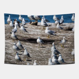 A Flock Of Gulls Standing On A Dock Tapestry