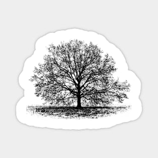 Graphic of a tree Magnet