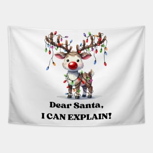 Dear Santa, I can explain Tapestry