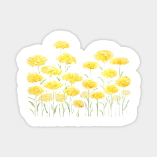 abstract yellow common yarrow flowers watercolor horizontal Magnet