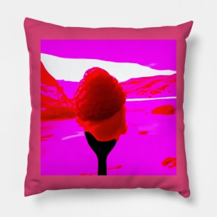 Sweet Raspberry Pillow