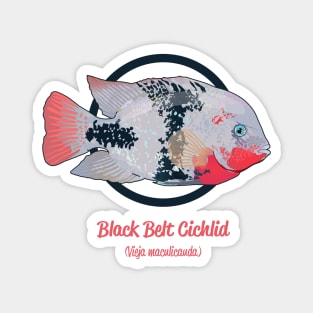 Black Belt Cichlid Magnet