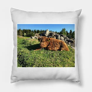 Scottish Highland Cattle Calf 1759 Pillow