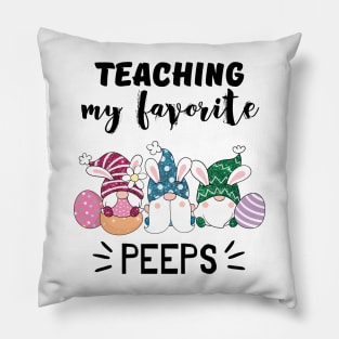 Teaching my favorite peeps Pillow