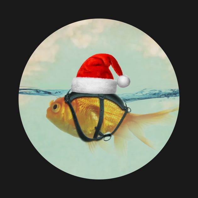 Christmas Goldfish by Vin Zzep